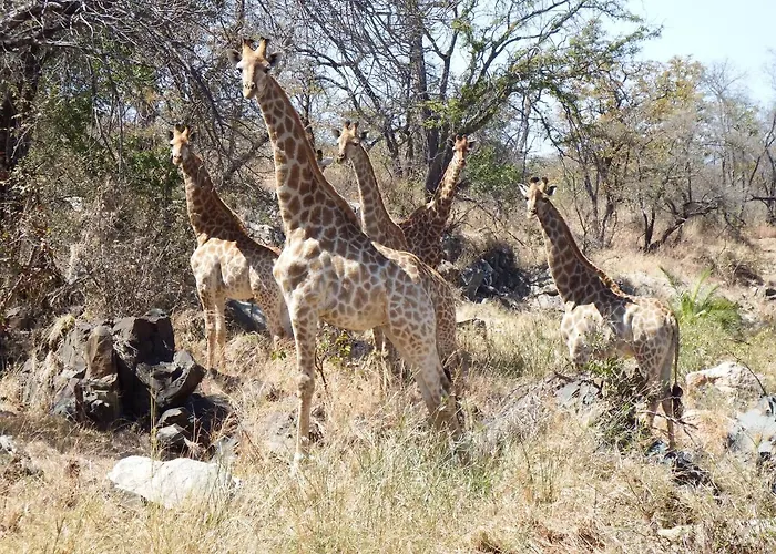 Selwane Nature Reserve