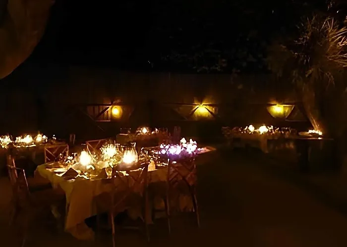 Motswari Private Game Reserve Resort By Newmark